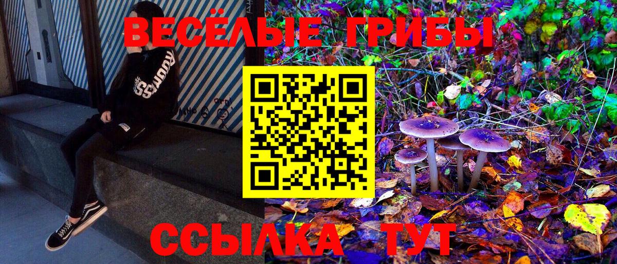 купить  цена  Галлюциногенные грибы Psilocybe  Вход с VPN  Тюмень 